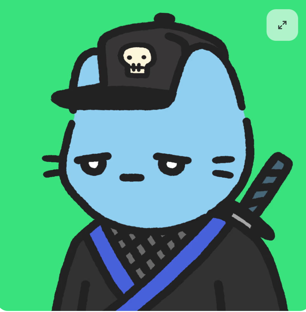 Cool Cat #1719